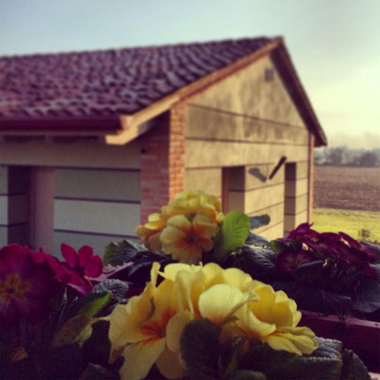 Agriturismo Bassanine Monticelli dʼOngina Dış mekan fotoğraf